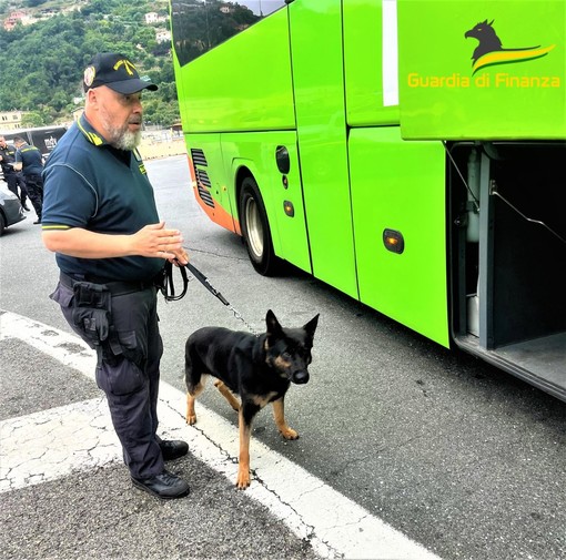 Ventimiglia: romeno arrestato su un pullman dalla Guardia di Finanza con la 'droga del combattente' (Foto e Video) Ventimiglia: romeno arrestato su un pullman dalla Guardia di Finanza con la 'droga del combattente' (Foto e Video)