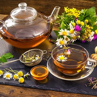 Competenza e selezione nel naturale: l’approccio firmato Lerboristeria.com