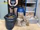 Operazione antidroga della Finanza: quattro arresti e sequestro di 'fumo' per oltre un milione di euro (Foto e Video) Operazione antidroga della Finanza: quattro arresti e sequestro di 'fumo' per oltre un milione di euro (Foto e Video)