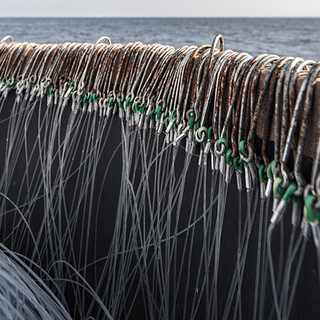 Imperia: alla Fiera del libro partecipa anche il fotografo Marco Donatiello, con la personale “Solo in mezzo al mare – Il duro lavoro del pescatore” Imperia: alla Fiera del libro partecipa anche il fotografo Marco Donatiello, con la personale “Solo in mezzo al mare – Il duro lavoro del pescatore”