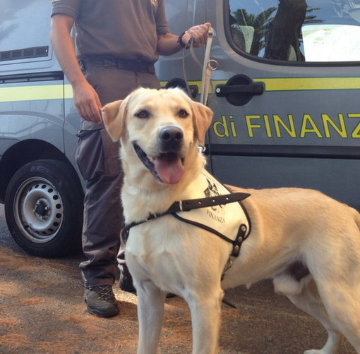 Ventimiglia: due 20enni su un Suv con 10 kg di 'coca', arrestati dalla Squadra Mobile di Imperia