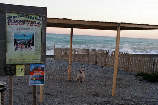 Ventimiglia: la spiaggia cani presto rinnovata e pronta ad accogliere cittadini e turisti amici degli animali