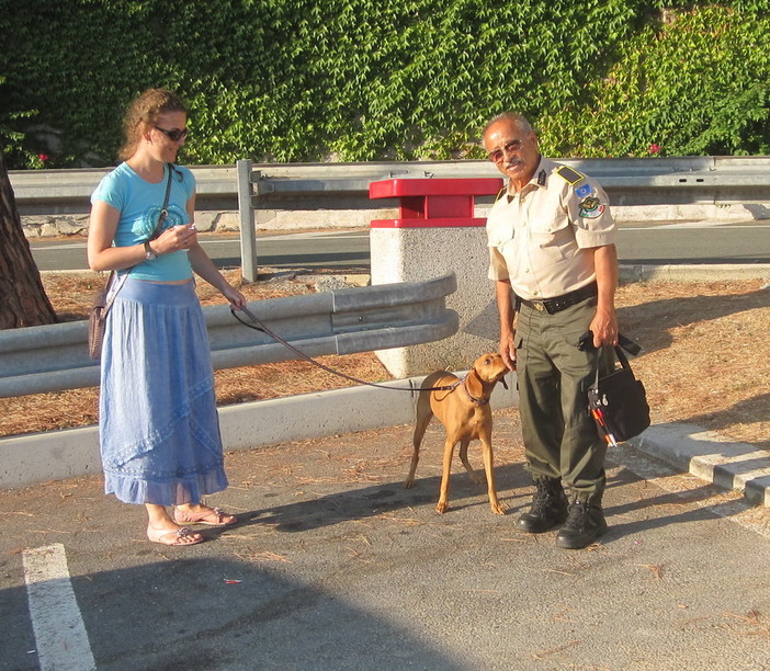 Servizio in autostrada per evitare l'abbandono degli animali da parte dei Rangers d'Italia Servizio in autostrada per evitare l'abbandono degli animali da parte dei Rangers d'Italia