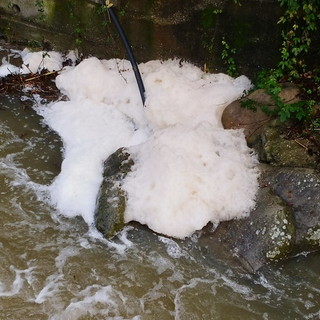 Sanremo: dopo le piogge di ieri sul torrente San Romolo appare una strana schiuma (Foto e Video) Sanremo: dopo le piogge di ieri sul torrente San Romolo appare una strana schiuma (Foto e Video)