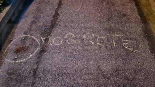 Sanremo: 'morirete', scritte inquietanti e veleno per topi in via Porte Candelieri, nel mirino i gatti (Foto)