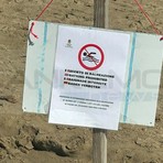Taggia, mare e demanio sotto la lente dopo i problemi estivi: nasce la commissione speciale voluta dalla minoranza Taggia, mare e demanio sotto la lente dopo i problemi estivi: nasce la commissione speciale voluta dalla minoranza