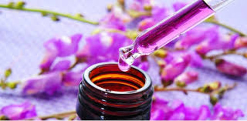 Da SanremoBio cominciano gli appuntamenti con la dottoressa Indini per consulti floroterapici: ecco in cosa consiste e come prenotare Da SanremoBio cominciano gli appuntamenti con la dottoressa Indini per consulti floroterapici: ecco in cosa consiste e come prenotare