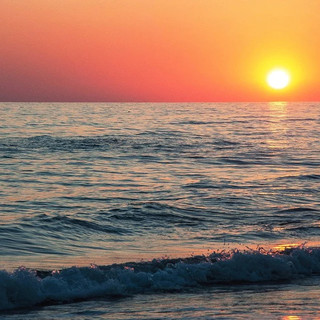 Neanche la pandemia ha fermato la ricerca di siti di incontri di escort e trans