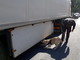 Ventimiglia: grazie a 'Pakros' sequestrato un Tir con 43 chili di droga provenienti dalla Spagna, arrestato l’autista serbo Ventimiglia: grazie a 'Pakros' sequestrato un Tir con 43 chili di droga provenienti dalla Spagna, arrestato l’autista serbo