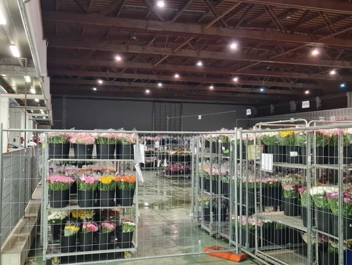 L'asta del Mercato dei Fiori L'asta del Mercato dei Fiori