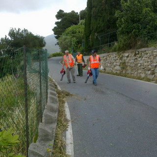 Ospedaletti: la locale Protezione Civile è intervenuta per pulire le erbacce sulla Provinciale per l'Autostrada