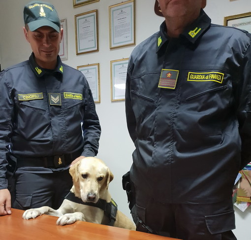 Ventimiglia: romeno viaggia sul bus con 14 kg di marijuana, arrestato dalla Finanza sull'autostrada