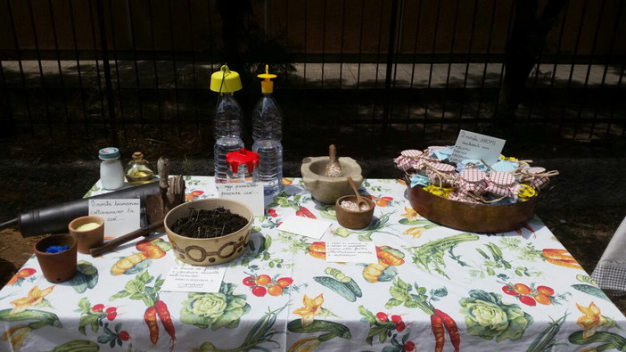 Ventimiglia: ieri i ragazzi delle Primarie del Comprensivo 'Biancheri' nei giochi in piazza (Foto) Ventimiglia: ieri i ragazzi delle Primarie del Comprensivo 'Biancheri' nei giochi in piazza (Foto)
