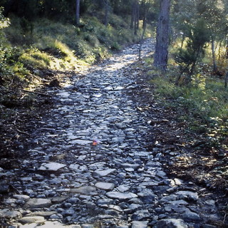 Antica via domenicana, riqualificato il sentiero Perinaldo-Monte Caggio: l'inaugurazione sarà il 18 maggio