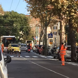 Sanremo: affidati a una ditta di Mantova i lavori per la manutenzione della segnaletica orizzontale Sanremo: affidati a una ditta di Mantova i lavori per la manutenzione della segnaletica orizzontale