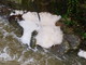 Sanremo: dopo le piogge di ieri sul torrente San Romolo appare una strana schiuma (Foto e Video)