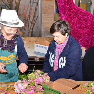 'SanremoInFiore 2016': si continua a lavorare per la preparazione dei carri a meno di 24 ore dalla sfilata