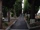 Sanremo: due alberi del Cimitero di Valle Armea a rischio caduta, saranno abbattuti a breve