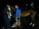Carpasio: mobilitazione di soccorsi per un cavallo caduto in una fascia, intervento dei Vigili dek Fuoco (Foto)