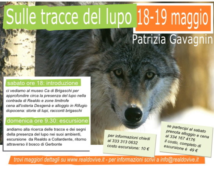 Con Realdo vive, una domenica sulle tracce del lupo: prosegue il programma degli eventi primaverili