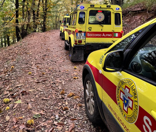 Ceriana, fungaiolo di 67 anni disperso nei boschi: il figlio dà l'allarme, in corso le ricerche Ceriana, fungaiolo di 67 anni disperso nei boschi: il figlio dà l'allarme, in corso le ricerche