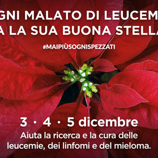 Dal 3 al 5 novembre anche in provincia di Imperia le stelle di natale dell'AIL