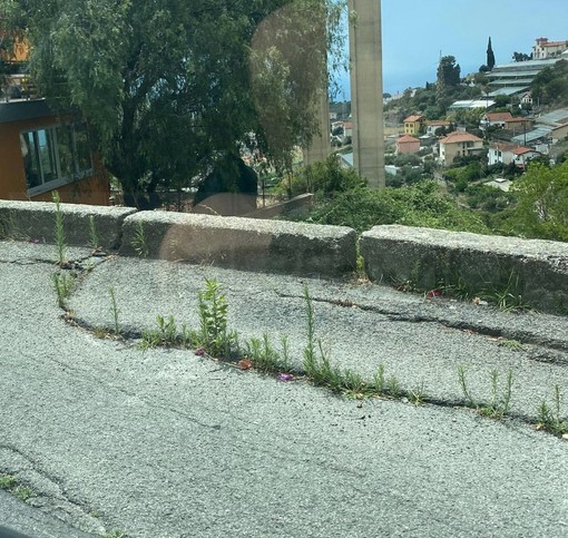 Sanremo: strada verso San Pietro dissestata, i residenti della frazione lanciano l'allarme (Foto) Sanremo: strada verso San Pietro dissestata, i residenti della frazione lanciano l'allarme (Foto)