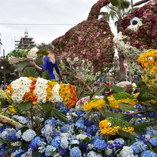 Il Corso Fiorito 2019