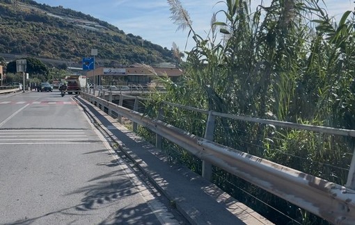 Taggia: giovani in bicicletta contromano vicino alla rotonda di Levà, la preoccupazione di una lettrice Taggia: giovani in bicicletta contromano vicino alla rotonda di Levà, la preoccupazione di una lettrice