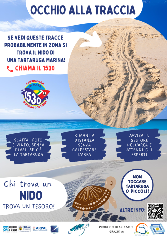 In provincia di Imperia parte il progetto “Tartarughe marine…sulla spiaggia” In provincia di Imperia parte il progetto “Tartarughe marine…sulla spiaggia”
