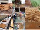 Valle Argentina: ieri si è ripetuta la tradizionale trebbiatura del grano a Ciabaudo in Oxentina (Foto) Valle Argentina: ieri si è ripetuta la tradizionale trebbiatura del grano a Ciabaudo in Oxentina (Foto)