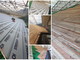 Sanremo: a Coldirodi un tetto che durerà 200 anni sull'edificio delle scuole, i lavori proseguono (Foto)