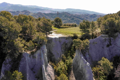 Camporosso, Dolceacqua, San Biagio della Cima, Soldano e Perinaldo: in 5 danno vita al primo brand territoriale della Liguria ‘Terre del Rossese’ Camporosso, Dolceacqua, San Biagio della Cima, Soldano e Perinaldo: in 5 danno vita al primo brand territoriale della Liguria ‘Terre del Rossese’