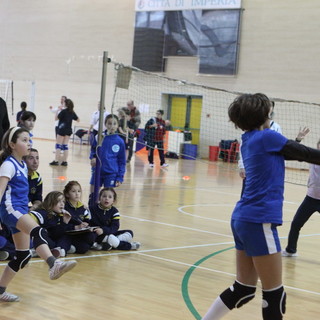 Pallavolo: la Maurina Volley Under 12 ha vinto il torneo San Giuseppe di Minivolley