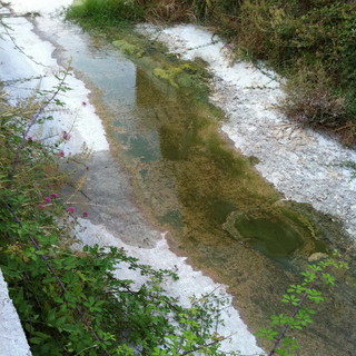 Bordighera: torrente in situazione di degrado, mail e foto di un nostro lettore