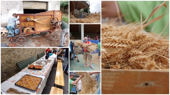 Valle Argentina: ieri si è ripetuta la tradizionale trebbiatura del grano a Ciabaudo in Oxentina (Foto) Valle Argentina: ieri si è ripetuta la tradizionale trebbiatura del grano a Ciabaudo in Oxentina (Foto)