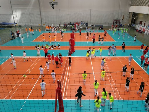 Volley. Pallavolo Mazzucchelli Sanremo, scatta il Torneo Ravano 2019