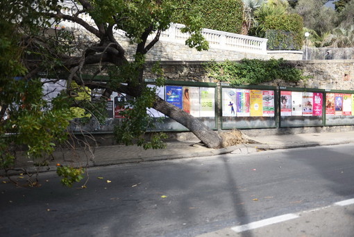 Sanremo: alcuni danni in città provocati dalle trombe d'aria, foto e video di Tonino Bonomo