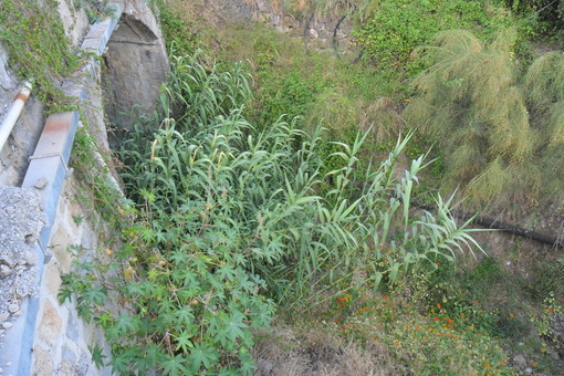 Sanremo: stamattina controlli sui torrenti, sono tutti nella norma. Pronti 110mila euro per la pulizia