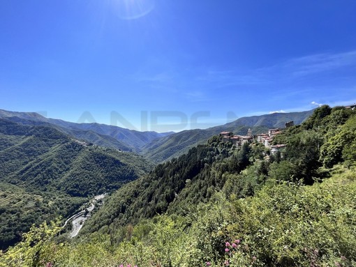 Triora aderisce al “Progetto Grano”: al via la collaborazione con l’azienda Matteo Oliva Triora aderisce al “Progetto Grano”: al via la collaborazione con l’azienda Matteo Oliva