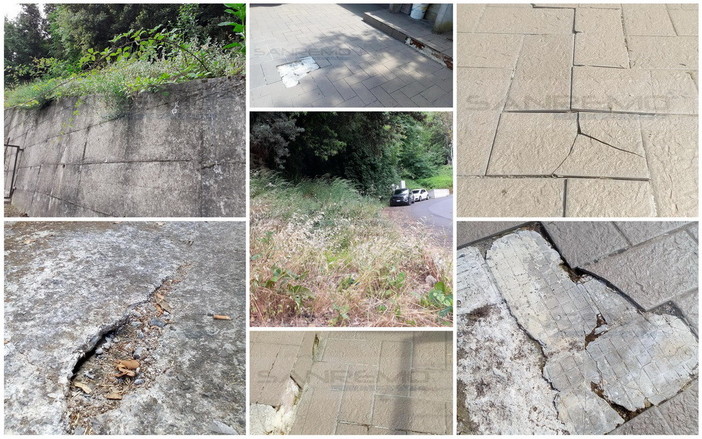 Camporosso: terreno senza manutenzione vicino a casa, le proteste di un nostro lettore (Foto) Camporosso: terreno senza manutenzione vicino a casa, le proteste di un nostro lettore (Foto)