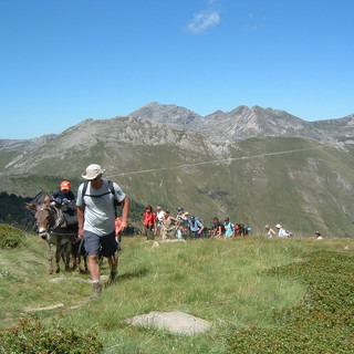Collaborazione nel verde tra i ragazzi dell’istituto 'Amoretti' e della scuola Media di Dolceacqua e il centro di educazione ambientale del parco Alpi Liguri Collaborazione nel verde tra i ragazzi dell’istituto 'Amoretti' e della scuola Media di Dolceacqua e il centro di educazione ambientale del parco Alpi Liguri