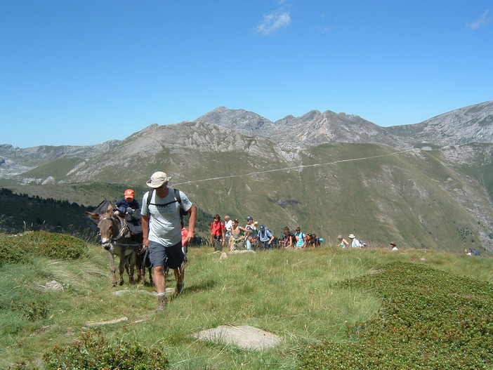 Collaborazione nel verde tra i ragazzi dell’istituto 'Amoretti' e della scuola Media di Dolceacqua e il centro di educazione ambientale del parco Alpi Liguri Collaborazione nel verde tra i ragazzi dell’istituto 'Amoretti' e della scuola Media di Dolceacqua e il centro di educazione ambientale del parco Alpi Liguri