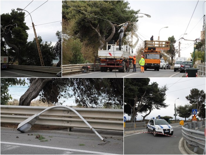 Sanremo: il vento forte abbatte due tralicci, Aurelia chiusa tra il faro e la rotonda di Bussana (Foto) Sanremo: il vento forte abbatte due tralicci, Aurelia chiusa tra il faro e la rotonda di Bussana (Foto)