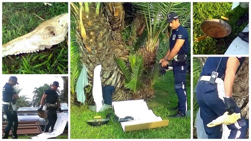 Sanremo: trovano un giaciglio allestito da un clochard, ma vicino c'è anche il teschio di un animale (Foto) Sanremo: trovano un giaciglio allestito da un clochard, ma vicino c'è anche il teschio di un animale (Foto)