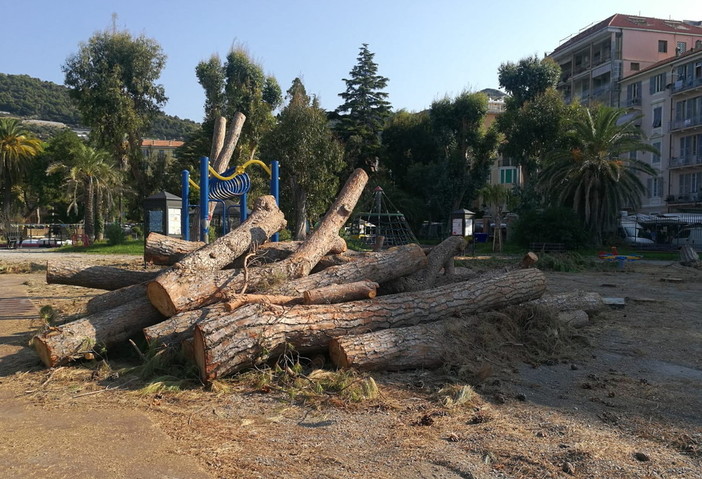 Ventimiglia: domani raccolta libera del legname ai giardini pubblici ‘Tommaso Reggio’ per i cittadini Ventimiglia: domani raccolta libera del legname ai giardini pubblici ‘Tommaso Reggio’ per i cittadini