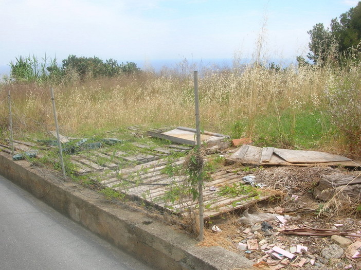 Bordighera: interpellanza di Ramoino per un terreno a Montenero in totale abbandono (Foto) Bordighera: interpellanza di Ramoino per un terreno a Montenero in totale abbandono (Foto)
