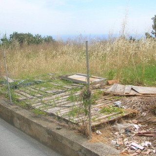 Bordighera: interpellanza di Ramoino per un terreno a Montenero in totale abbandono (Foto) Bordighera: interpellanza di Ramoino per un terreno a Montenero in totale abbandono (Foto)