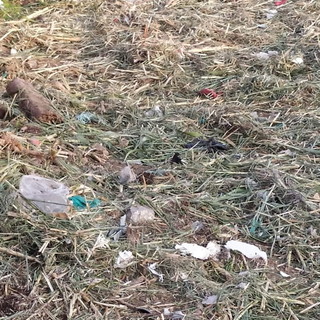 Bordighera: dopo la pulizia degli alvei, un lettore "Bisognerebbe rimuovere anche i rifiuti" (Foto)