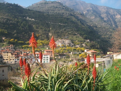 Ventimiglia: primo sopralluogo tecnico questa mattina a Torri e Calvo, per elaborare il progetto dei  nuovi parcheggi nelle due frazioni